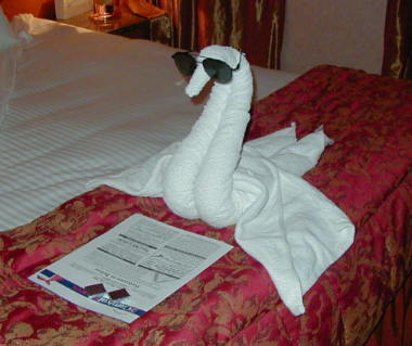Swan